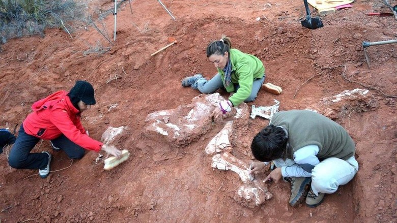 Ilmuwan Gali Fosil Dinosaurus Berusia 220 Juta Tahun di Argentina