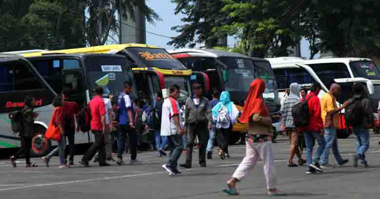 246 Sopir Bus di DKI Tidak Laik Mengemudi karena Gula Darah hingga Sabu