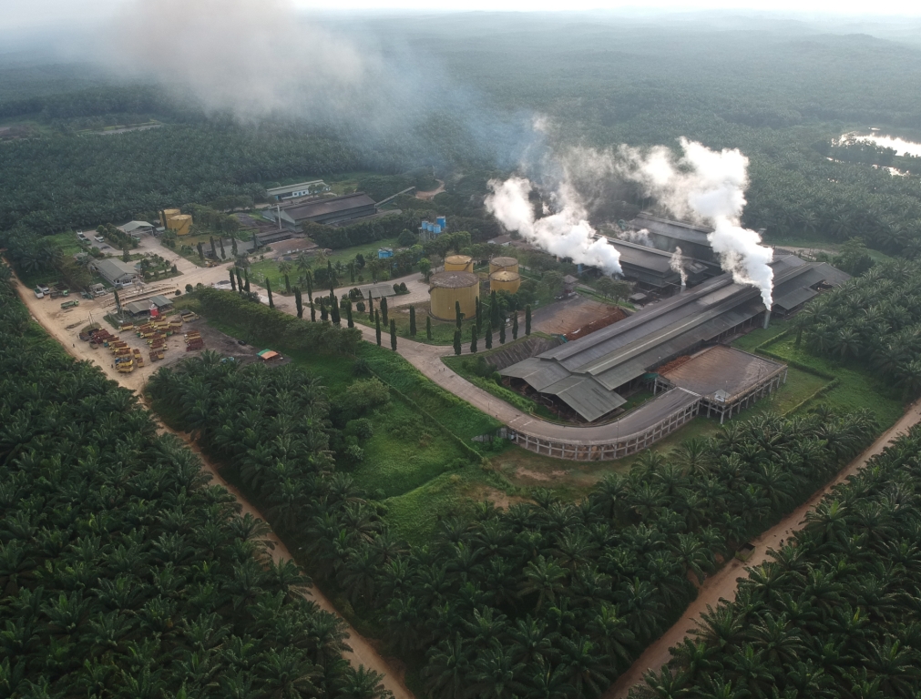 MA Denda Rp 342 Miliar Perusahaan Pembakar Hutan