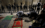 Jokowi Desak PBB Tindak Israel: Indonesia Stand With The People of Palestine