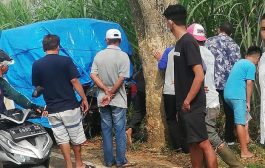 Pikap Tabrak Pohon Tewaskan 8 Orang di Malang
