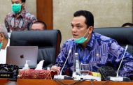 Anggota DPRI RI Minta Satgas Investasi Periksa dan Berikan Sanksi ke Toba Pulp Lestari