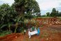 BNPB: Kematian Corona di Jateng Tinggi