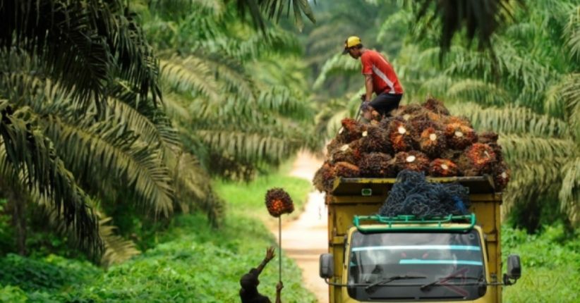 Riau Jadi Provinsi Kedua yang Paling Banyak Ekspor