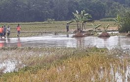 Banjir Rangkasbitung Tewaskan Petani
