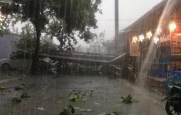 Hujan Angin di Depok: Hujan Es, Pohon Tumbang
