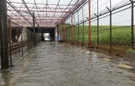Jalan M1 Bandara Soetta Tangerang Banjir 30 Cm