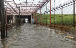 Jalan M1 Bandara Soetta Tangerang Banjir 30 Cm
