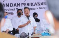 KKP Bangun Tambak Udang Modern di Sumbawa