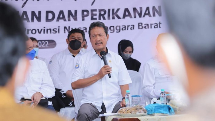 KKP Bangun Tambak Udang Modern di Sumbawa