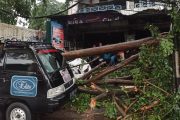 Hujan-Angin Kencang, Pohon Tumbang Timpa Kios dan Motor di Jaksel