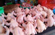 Ayam Kecil Naiknya Sampai Rp10.000/Ekor, Harga Daging Ayam Melejit