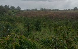 Terkait Sengketa Konsesi Hutan Lindung dan Tanah Adat di Desa Tukkotnisolu, KPK Diminta Bongkar 