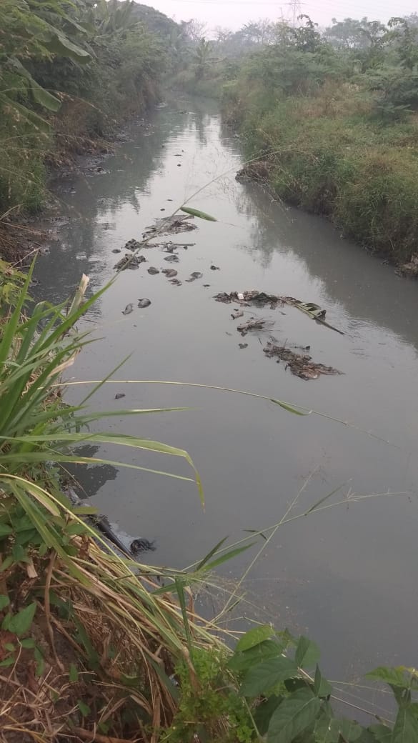 Sungai Tercemar Limbah Berbahaya, LBH SAN Somasi Bupati Tangerang