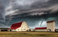 5 Orang Tewas, Amerika Serikat Diterjang Badai Tornado