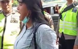 BMS Situmorang : Jeritan Tangis Elfrida Rajagukguk Kepada Presiden Jokowi Terkait Sengketa Tanah