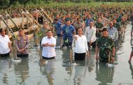 Tanam Mangrove, Jokowi Nyemplung Bareng Prabowo dan Panglima-Kapolri