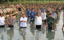 Tanam Mangrove, Jokowi Nyemplung Bareng Prabowo dan Panglima-Kapolri