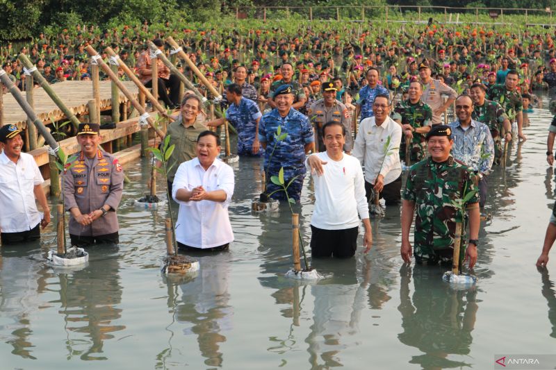 Tanam Mangrove, Jokowi Nyemplung Bareng Prabowo dan Panglima-Kapolri