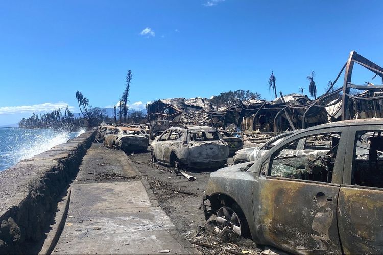 Seperti Zona Perang, Dahsyatnya Kebakaran Hutan di Hawaii