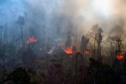 50.000 Orang Dievakuasi, Kebakaran Hutan Melanda Turki