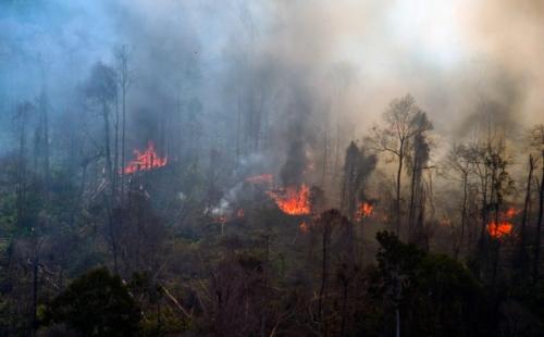 Hutan Gunung Lawu Kebakaran Merambat Sampai Wilayah Magetan