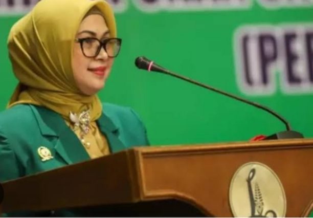 Siti Nur Azizah, Profesor yang Kini Terjun Kedunia Politik