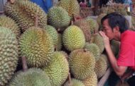 Rp 130 Triliun, Luhut Ungkap Rencana Ekspor Durian ke China