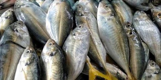 Konsumsi Ikan RI Kalah dari China-Malaysia