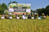 Cetak Sawah 3 Juta Ha Bikin RI Bebas Impor Pangan