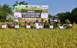 Bakal Dicetak di Merauke, 1 Juta Hektare Sawah