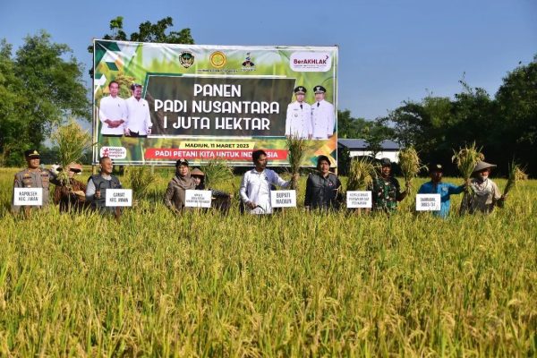 Bakal Dicetak di Merauke, 1 Juta Hektare Sawah