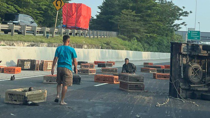 Lalin Macet, Truk Muatan Ayam Terbalik di Km 16 Tol Jagorawi