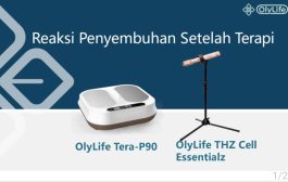 Terapi Kaki  Olylife THZ Tera-P90, 30 Menit Cegah Stroke Sejak Dini