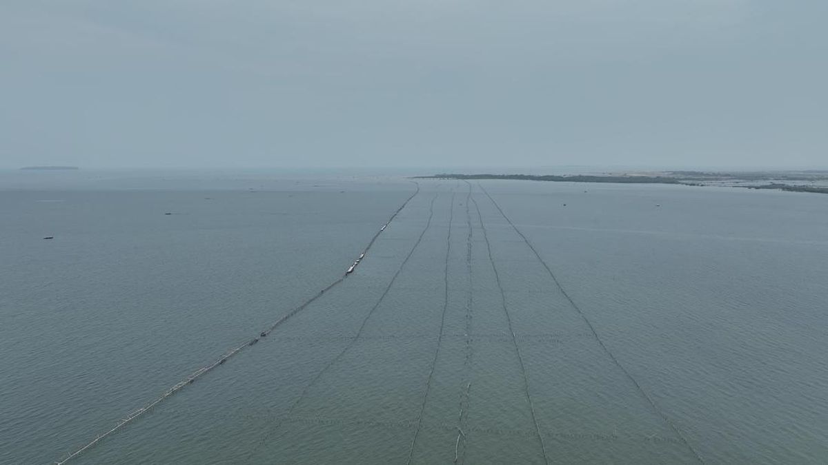 Sulit Cari Ikan, Ada Pagar 30,16 Km di Laut Tangerang