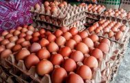 Tembus Rp 100.000/Kg, Harga Telur Ayam Meroket