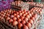 Tembus Rp 100.000/Kg, Harga Telur Ayam Meroket